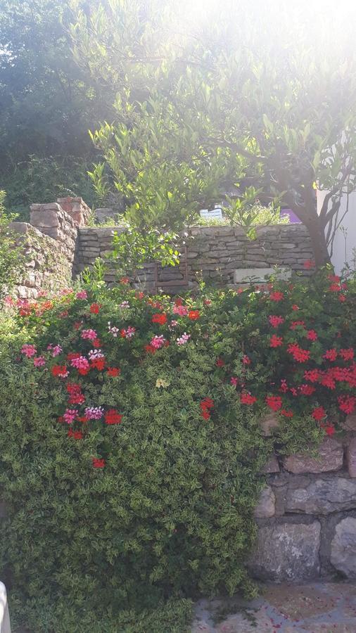 Vila Lucice Petrovac Εξωτερικό φωτογραφία